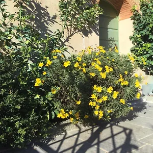Casa Mita Con Pacchetto Mare Incluso Ferienhaus